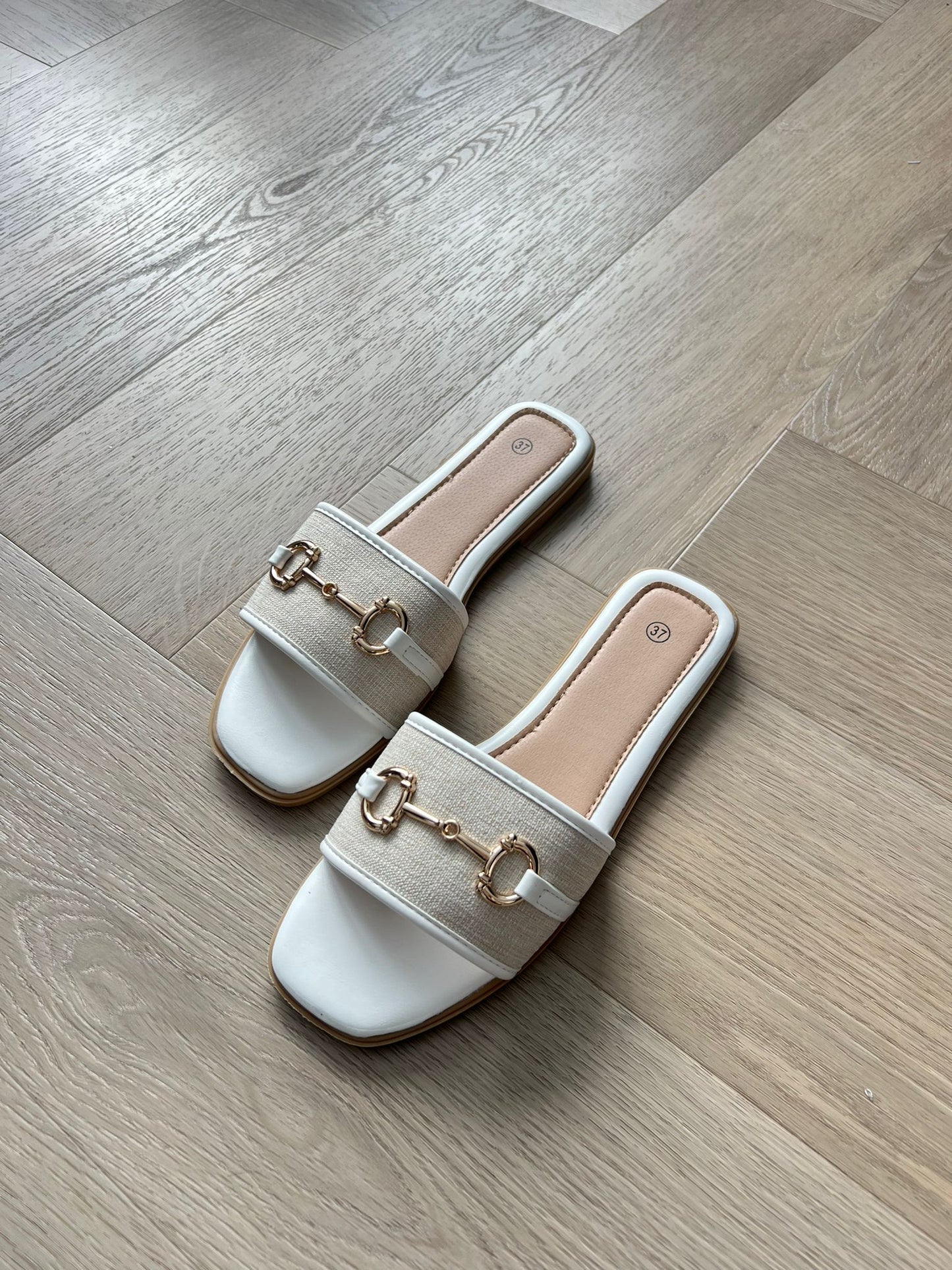 Slides GC White